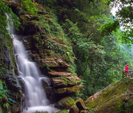 碧峰峽、上里古鎮(zhèn)二日游