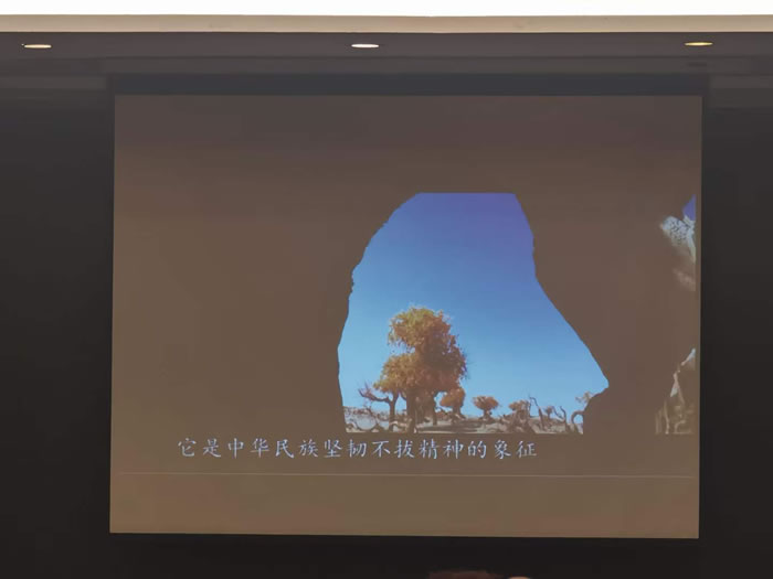 綿陽中旅行假日旅行社舉行胡楊林、南疆專列推薦會(huì)