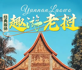 【趣游老撾 · 經(jīng)典版納】—昆明、普洱、西雙版納、磨丁、瑯勃拉邦四動8日游